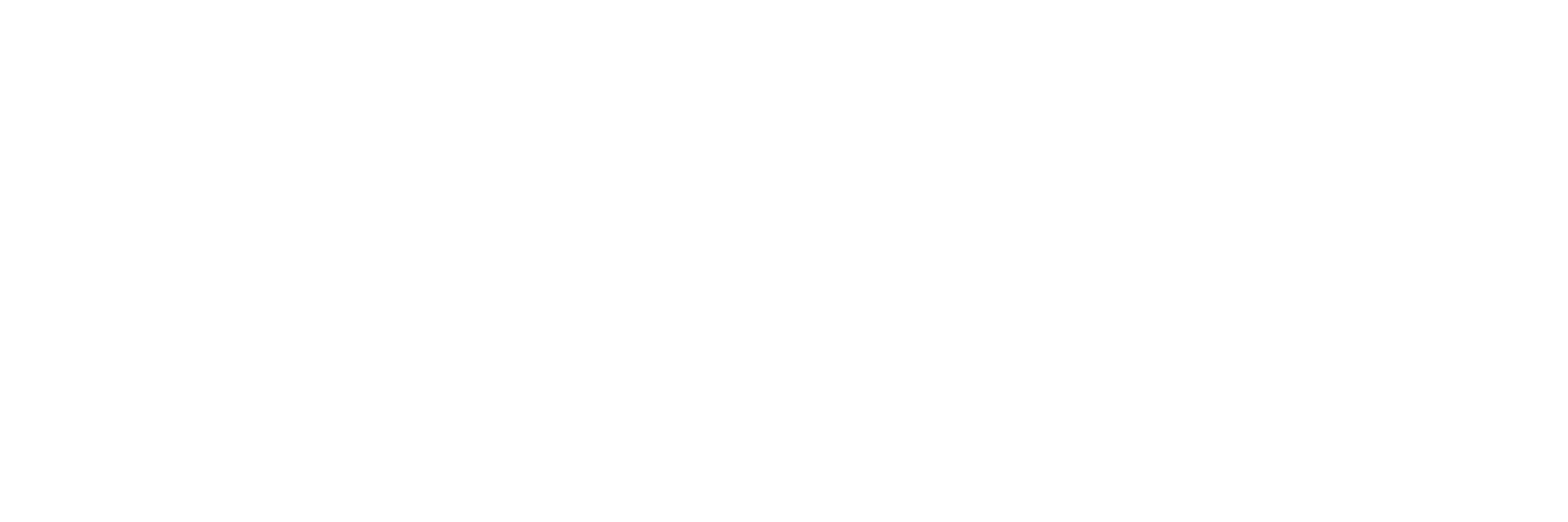 Xinghe Trade Logo